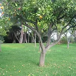 Apart Otel Delle Palme Aci Trezza
