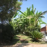 Delle Palme Aci Trezza