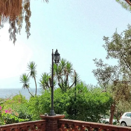 Delle Palme
