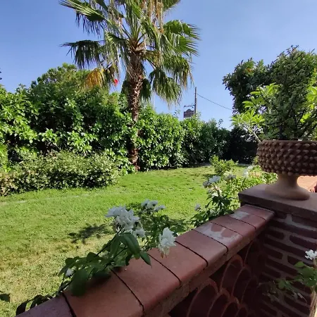 Delle Palme Aci Trezza