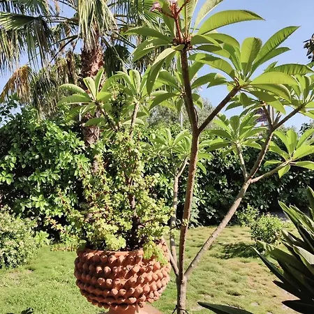 Delle Palme 4*
