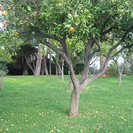 Apart Otel Delle Palme Aci Trezza