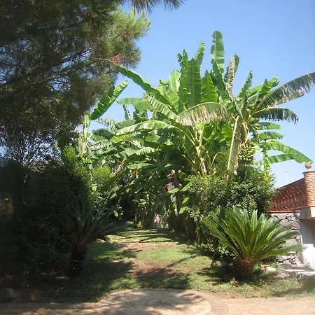 Delle Palme Aci Trezza