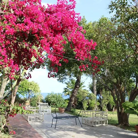 Aparthotel Delle Palme Aci Trezza