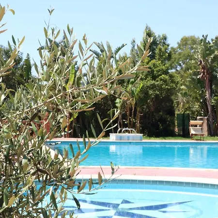 Delle Palme
